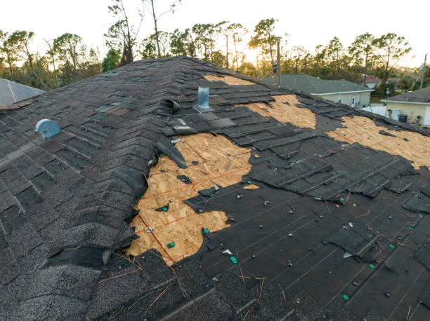 Best 4 Ply Roofing  in Ray City, GA