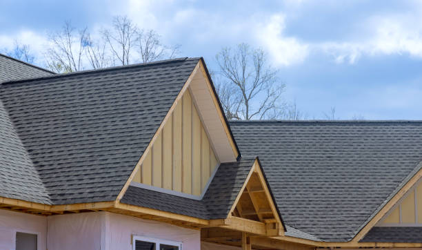 Best Rubber Roofing (EPDM, TPO)  in Ray City, GA