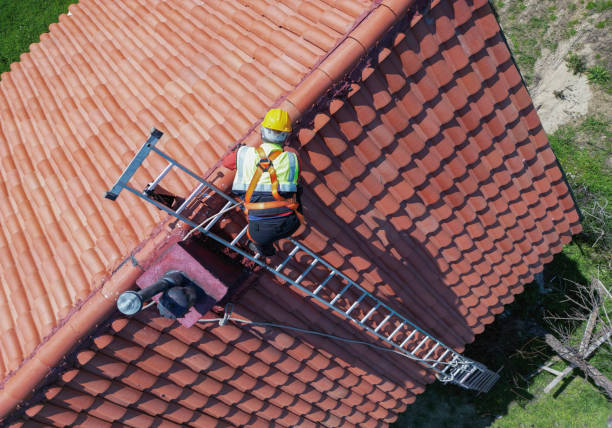 Best Roof Maintenance and Cleaning  in Ray City, GA