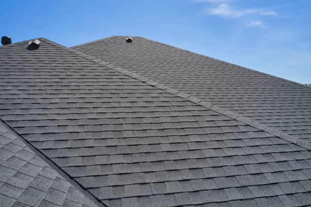Best Roof Maintenance and Cleaning  in Ray City, GA